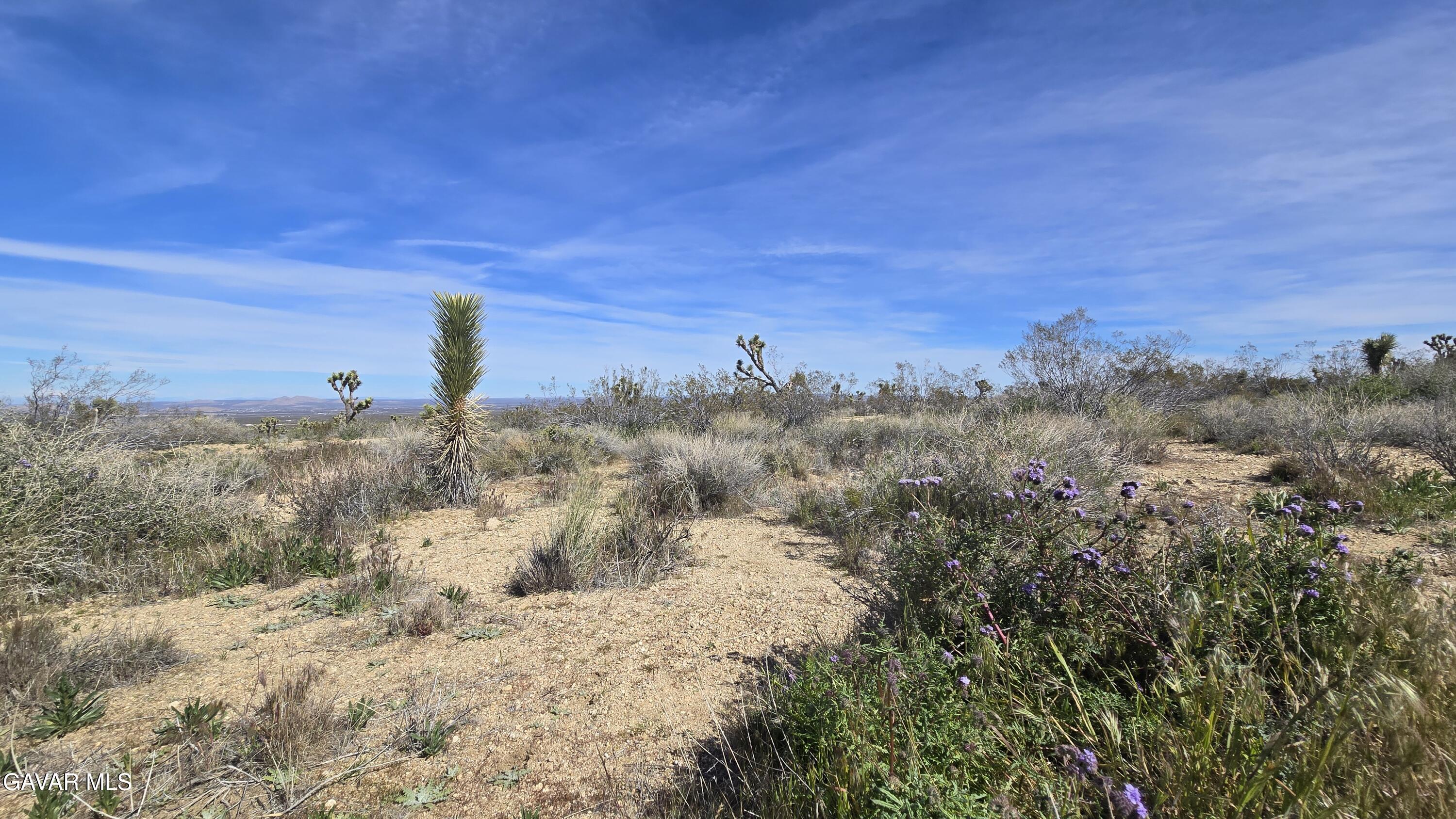 Fort Tejon Road East Llano, CA 93544 - Photo 43 of 50 20260224_111616