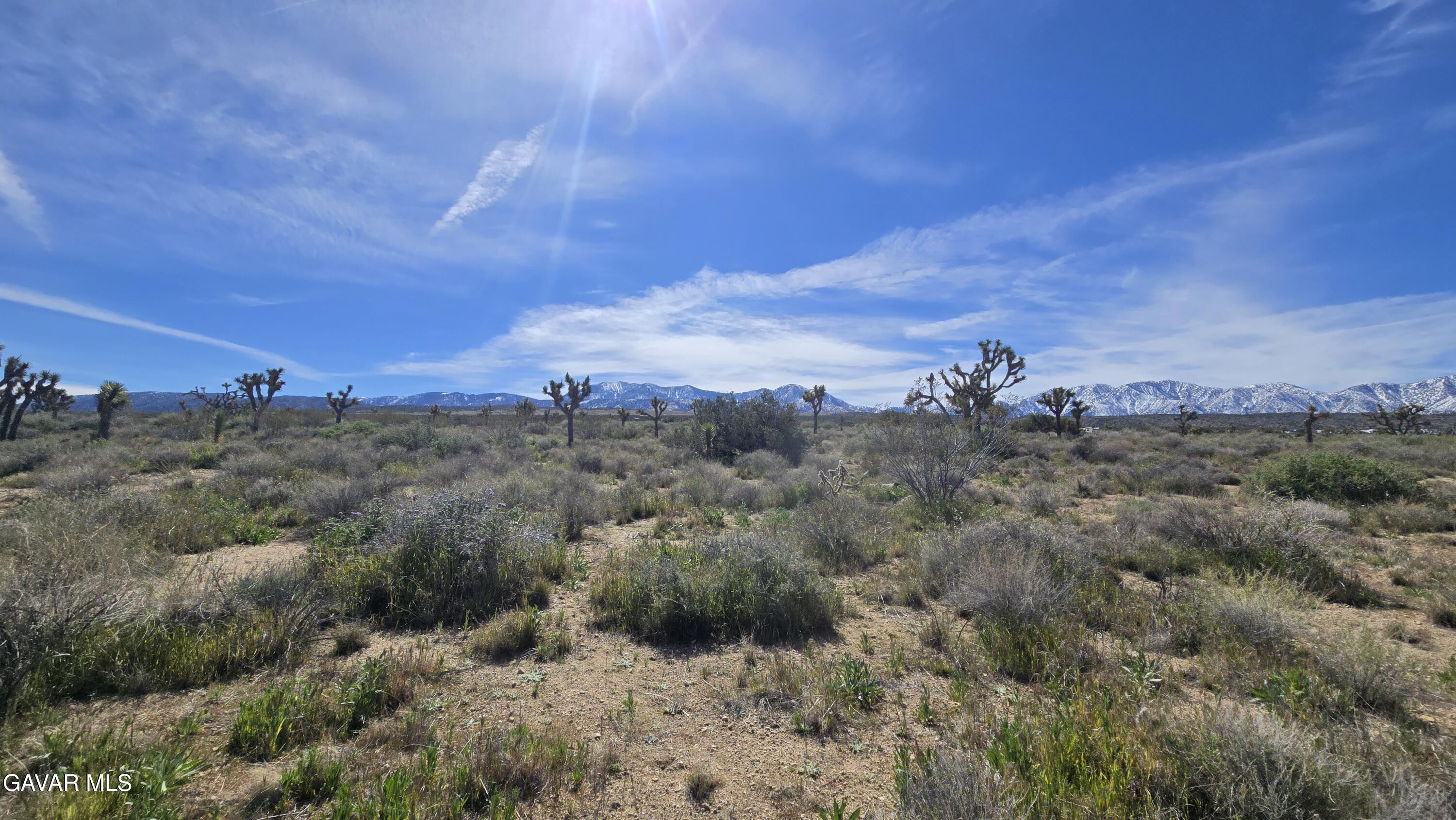 Fort Tejon Road East Llano, CA 93544 - Photo 44 of 50 20260224_111623