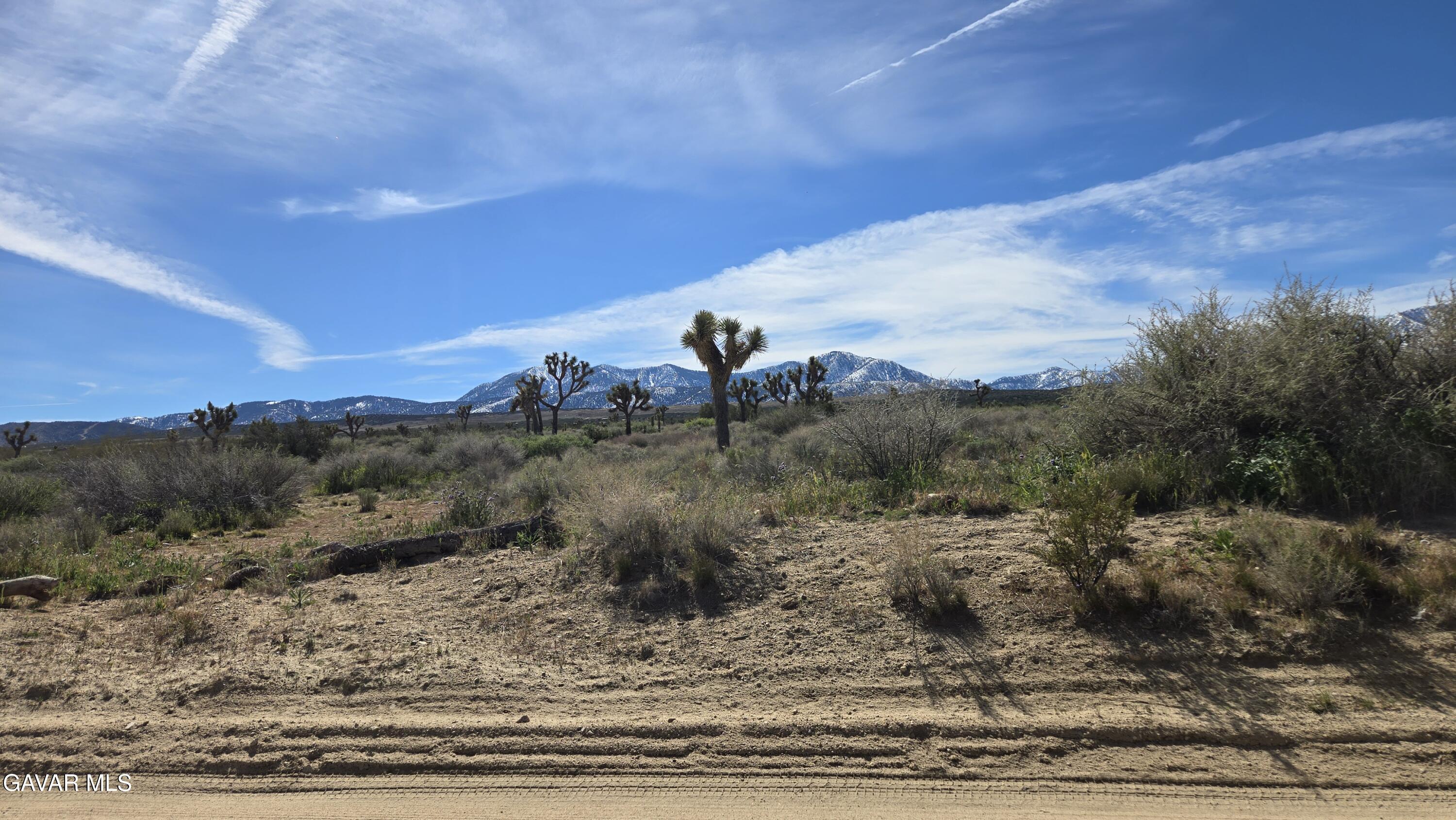 Fort Tejon Road East Llano, CA 93544 - Photo 5 of 50 20260224_110121