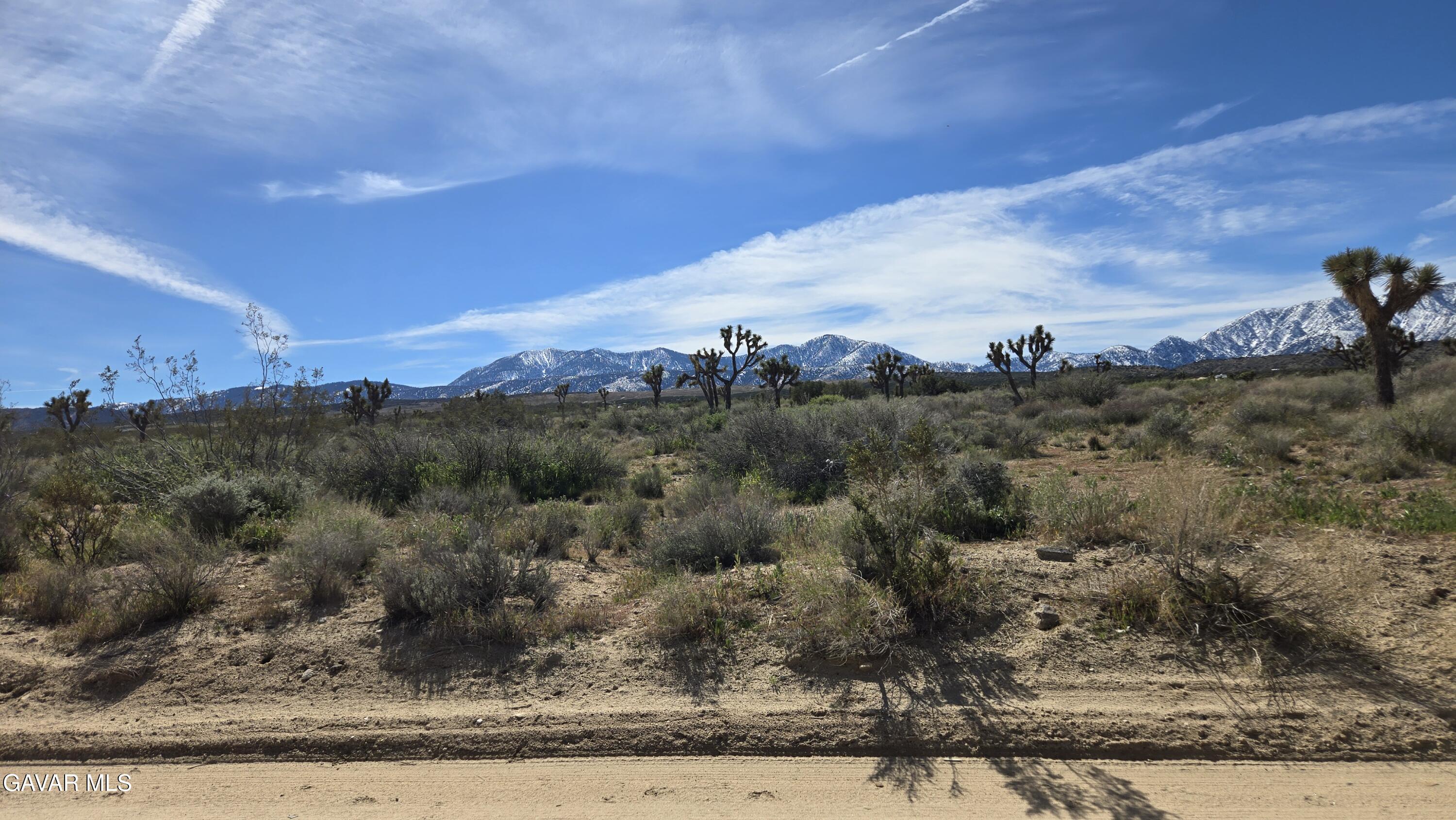Fort Tejon Road East Llano, CA 93544 - Photo 6 of 50 20260224_110128