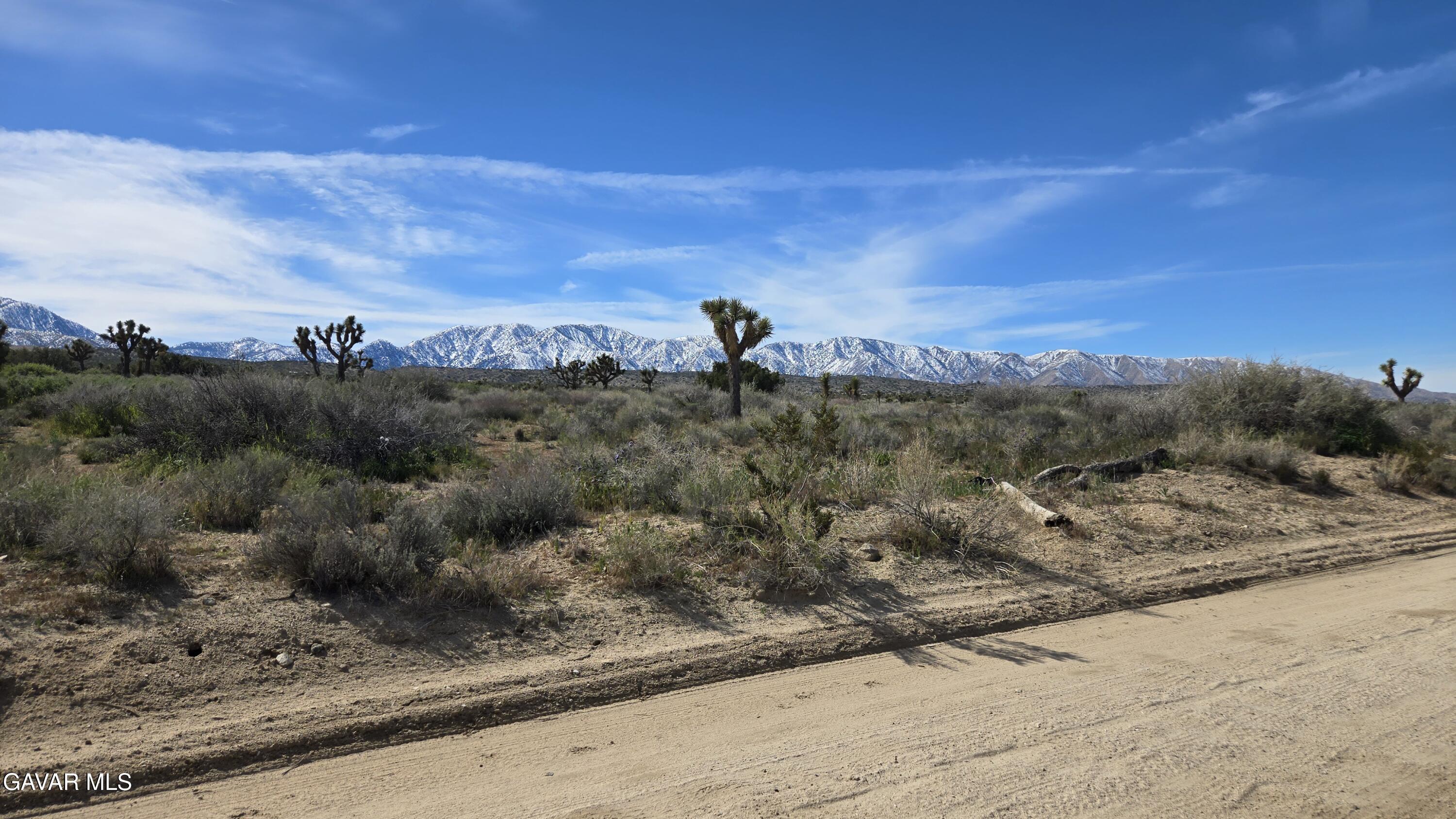 Fort Tejon Road East Llano, CA 93544 - Photo 9 of 50 20260224_110218