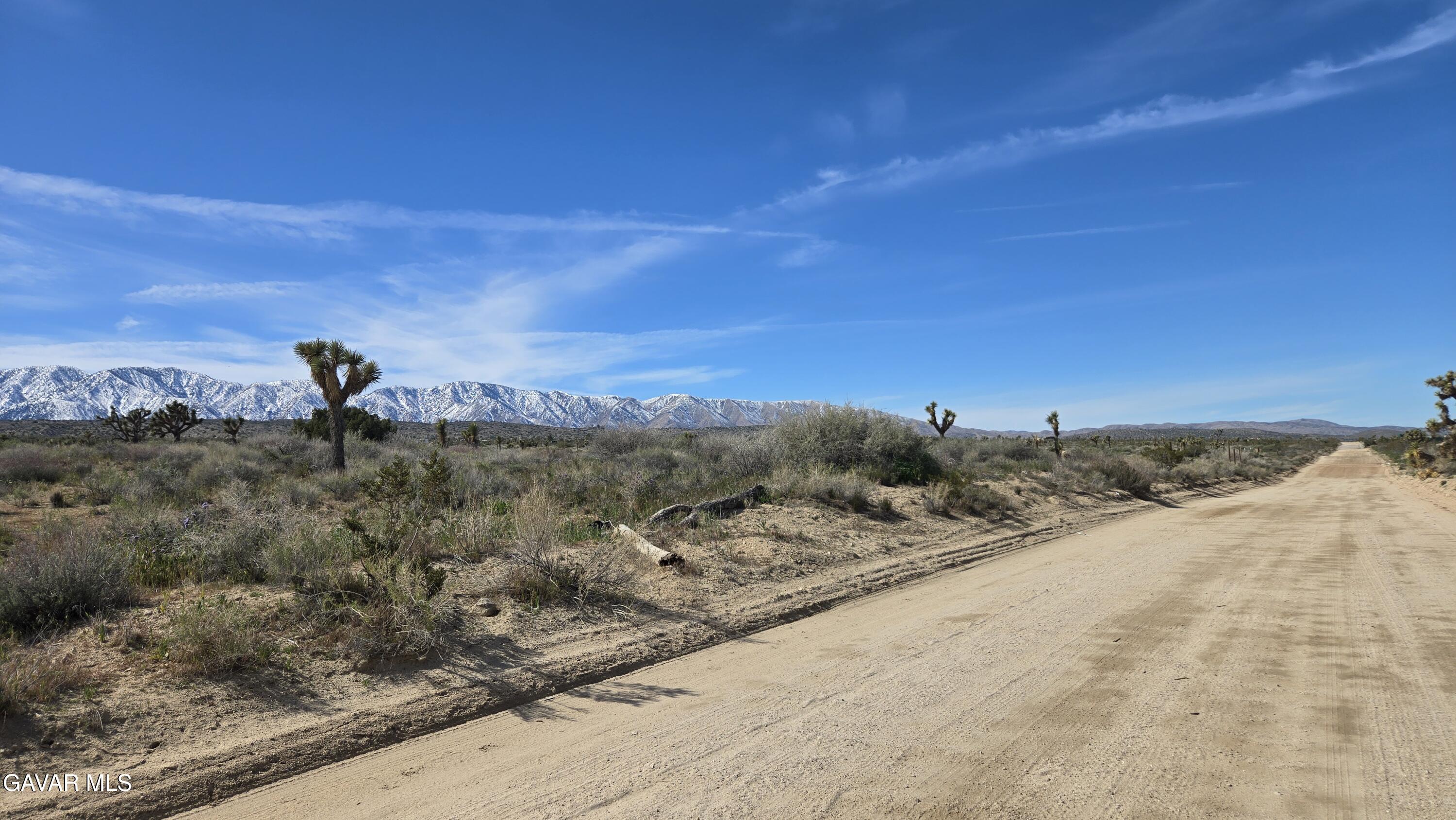Fort Tejon Road East Llano, CA 93544 - Photo 10 of 50 20260224_110221