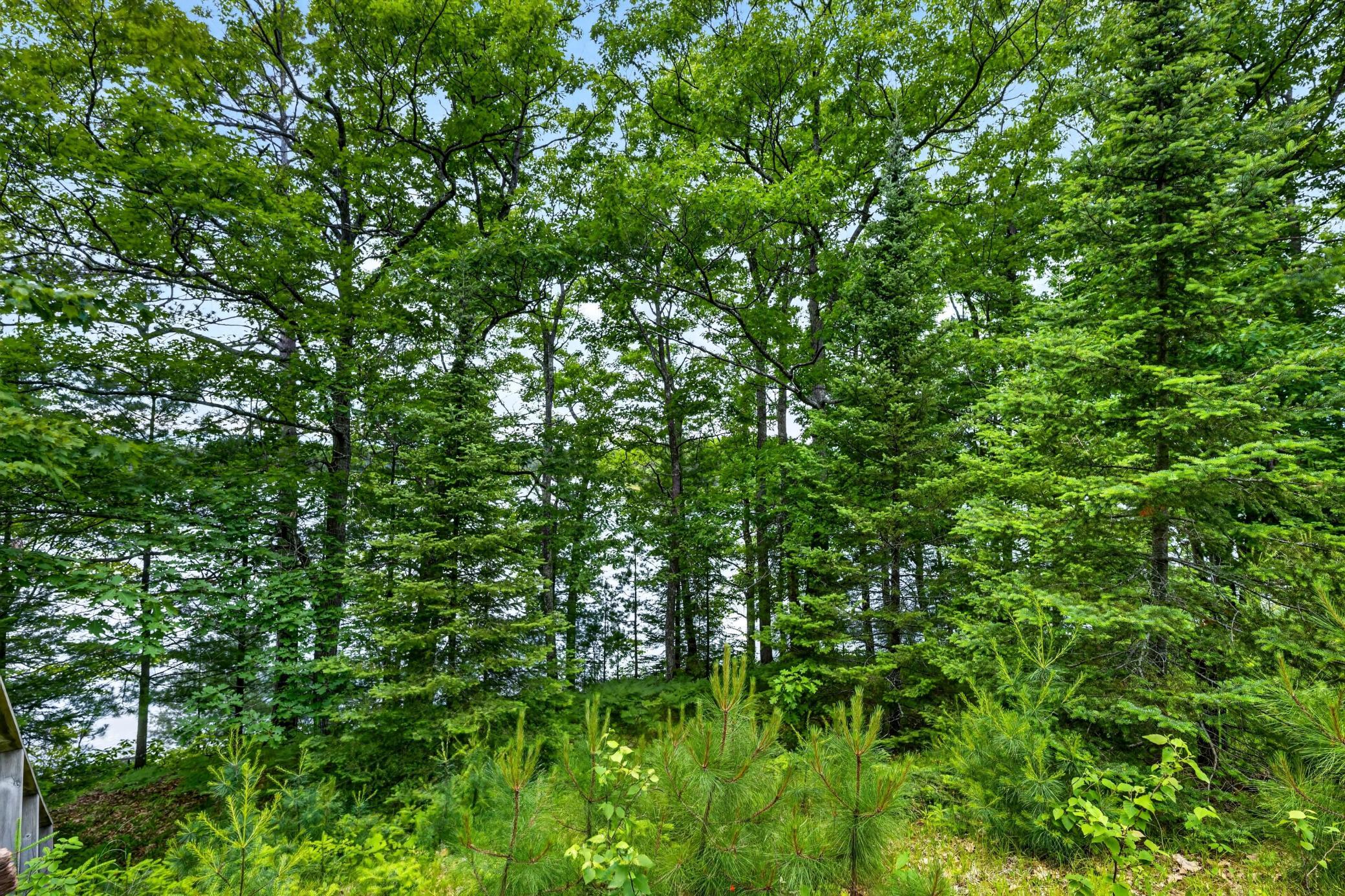 12765 Brady Road Drummond, WI 54832 - Photo 33 of 37