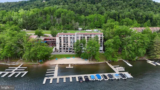 an aerial view of a tennis ground with large trees