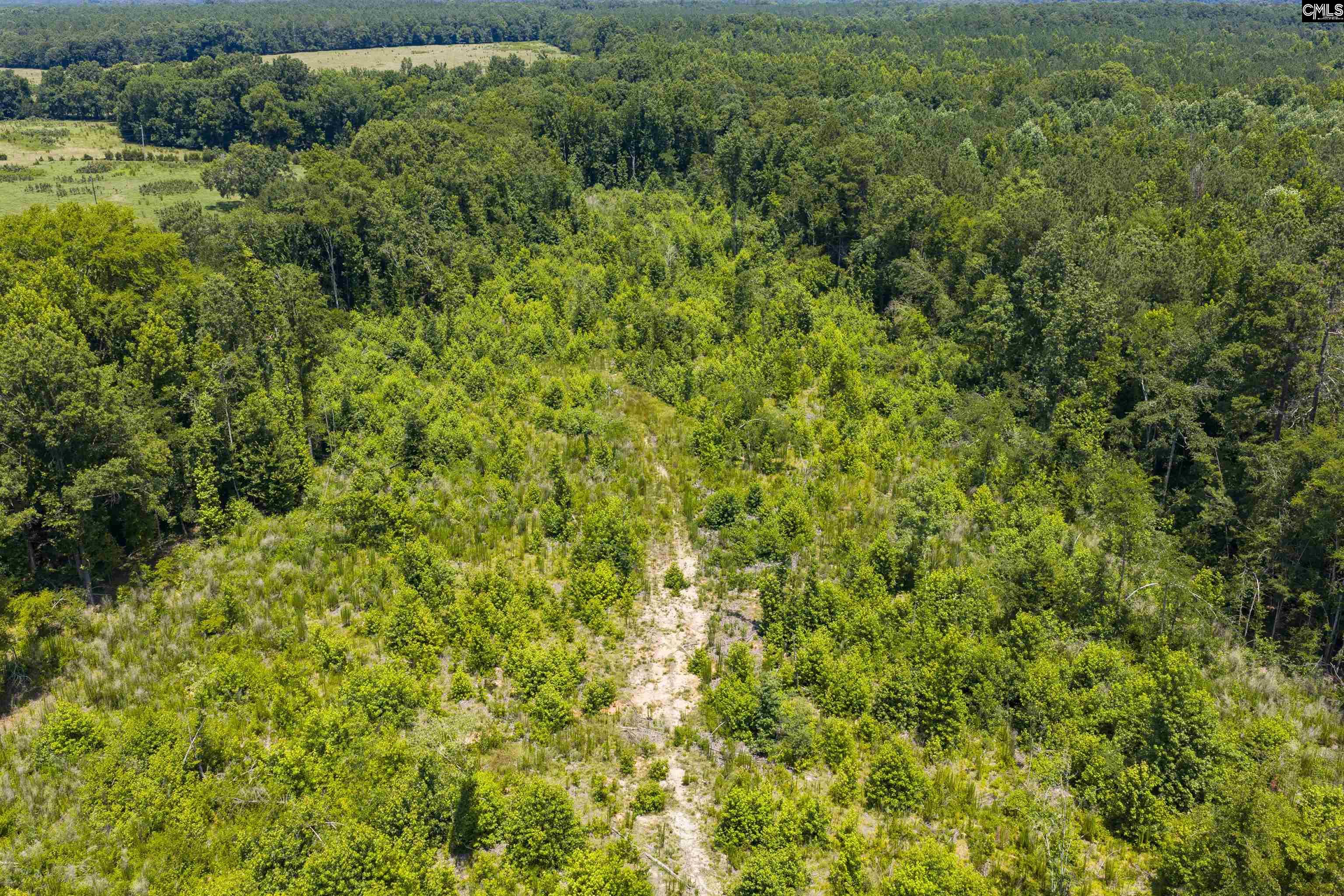 Stevens Road Saluda, SC 29138 - Photo 13 of 23