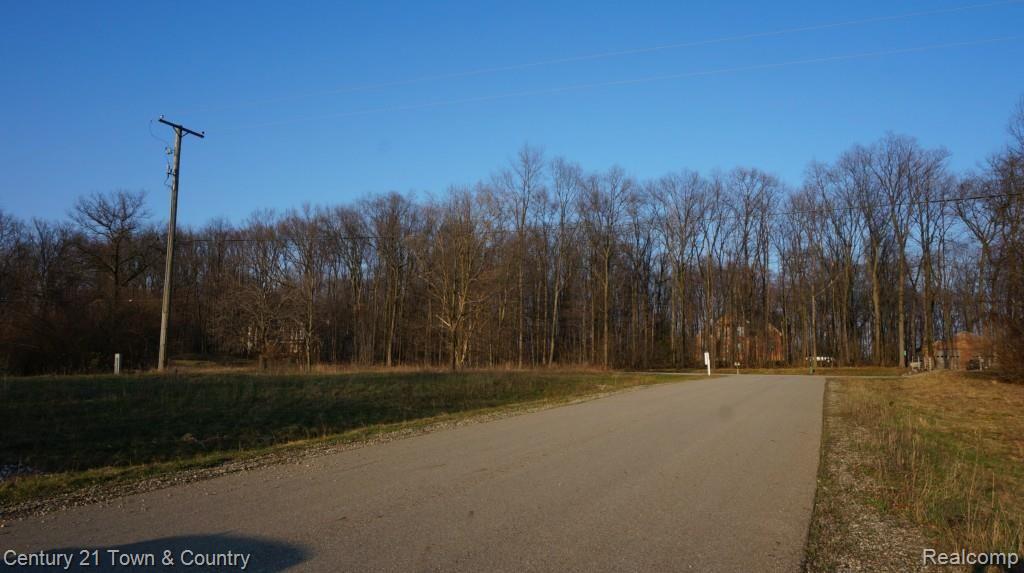 9345 Ellis Road Clarkston, MI 48348 - Photo 5 of 7 Side Road View Looking East