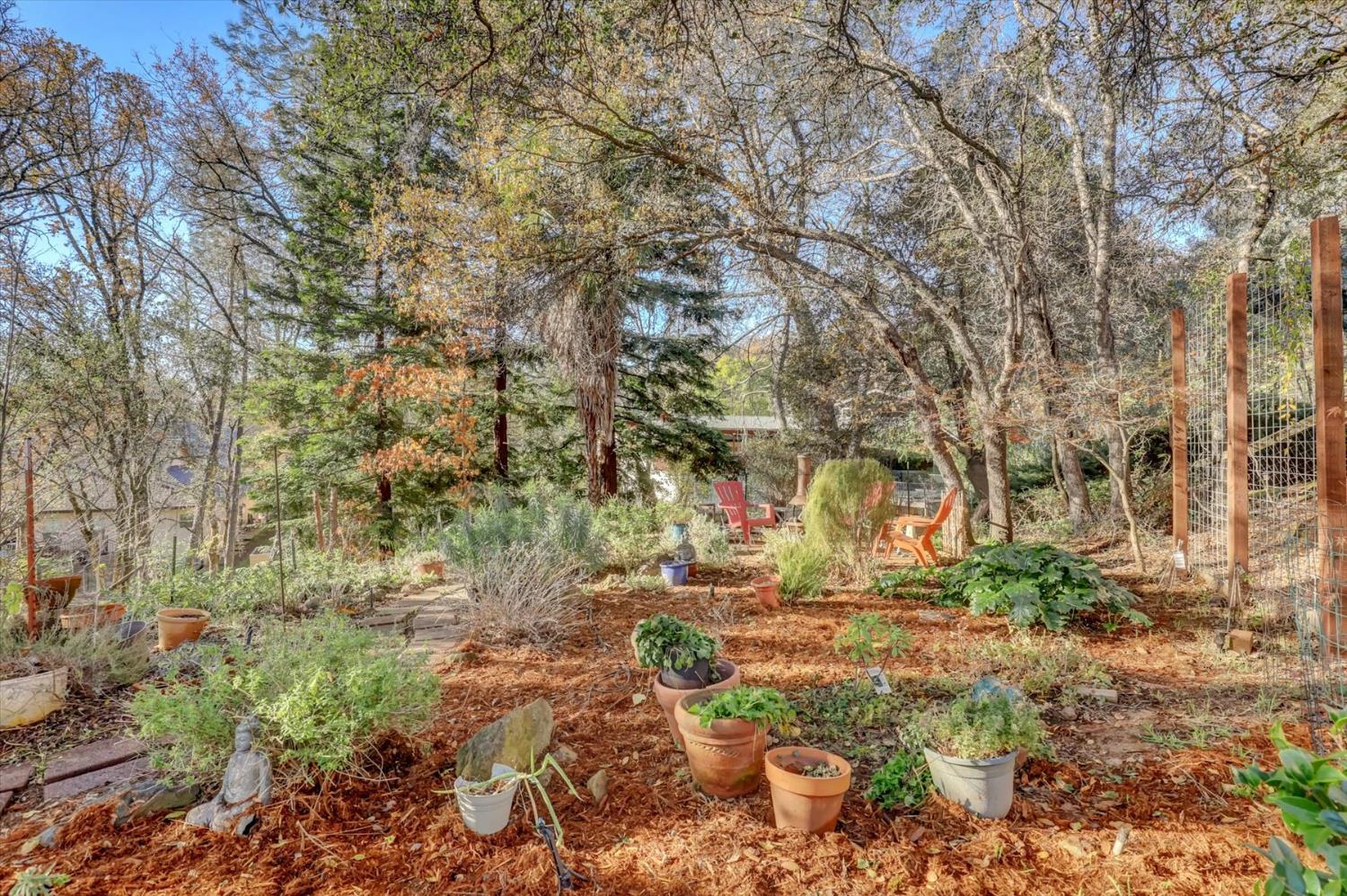 23126 Foothill Road Auburn, CA 95602 - Photo 45 of 63 a view of open space with trees all around