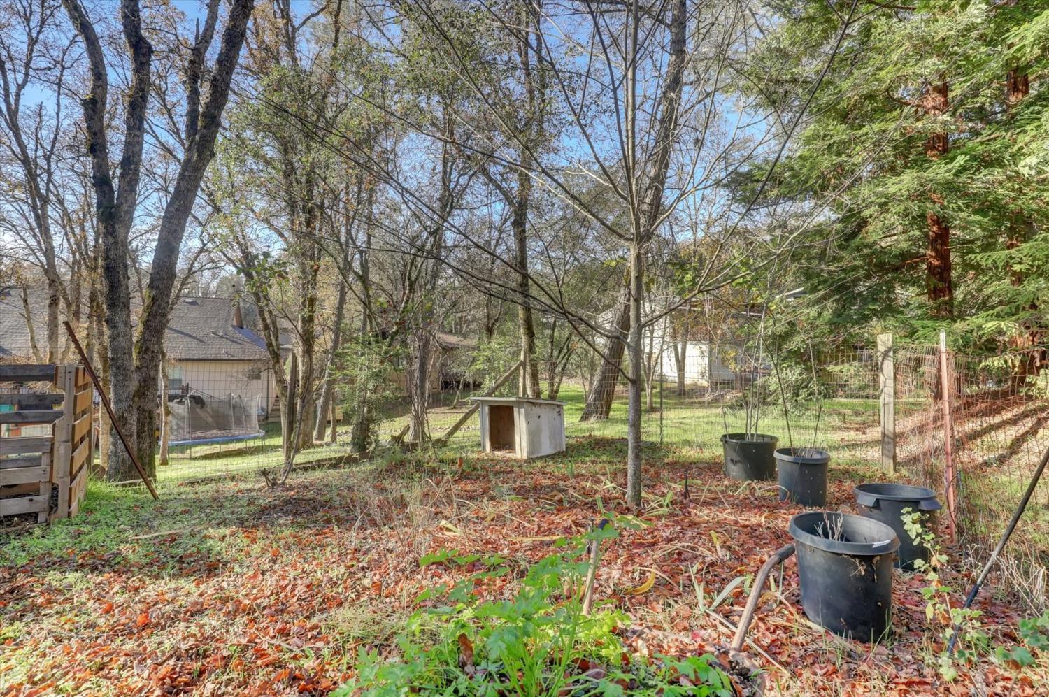 23126 Foothill Road Auburn, CA 95602 - Photo 55 of 63 a view of a backyard with plants and trees