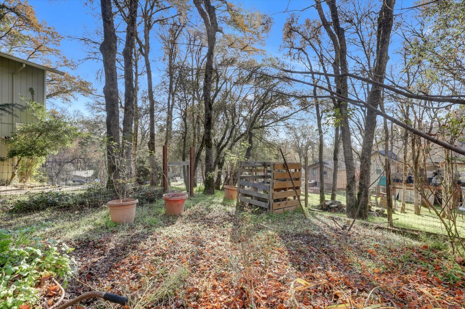 23126 Foothill Road Auburn, CA 95602 - Photo 57 of 63 a backyard of a house with lots of green space