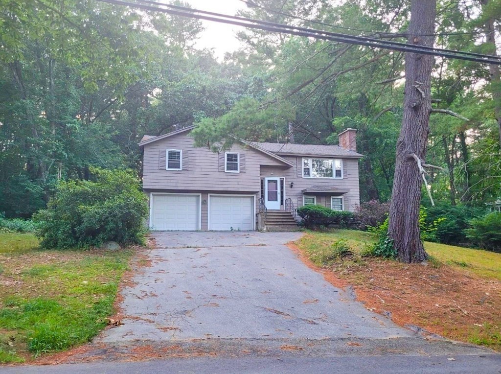 29 Cathy Road Chelmsford, MA 01824 - Photo 3 of 3 Gallery Image 3