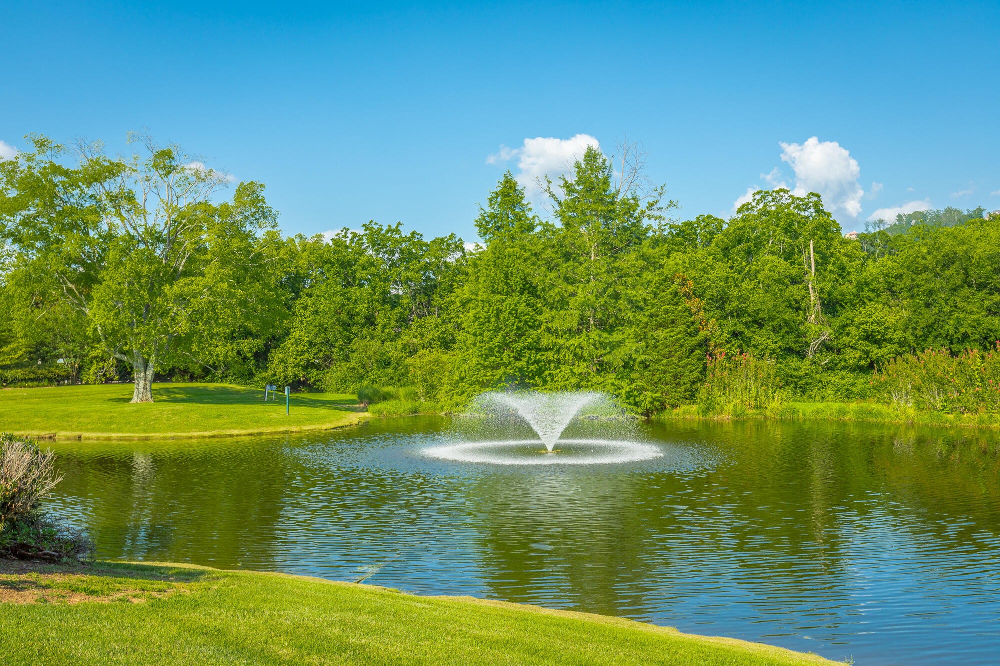 9619 Windrose Circle Chattanooga, TN 37421 - Photo 63 of 69 a view of a lake with a yard