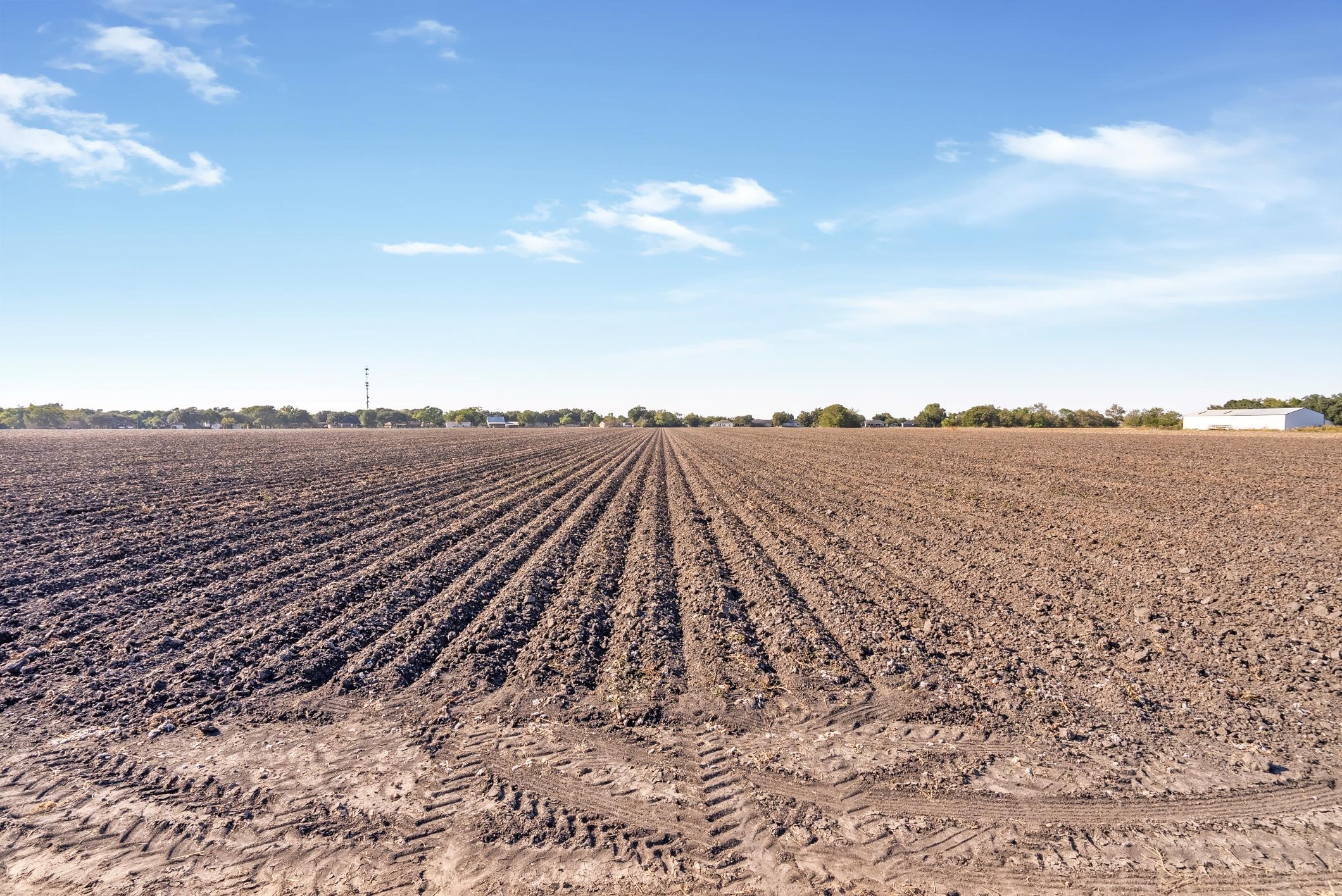 Tbd02 Scroggins Road Wallis, TX 77485 - Photo 20 of 23
