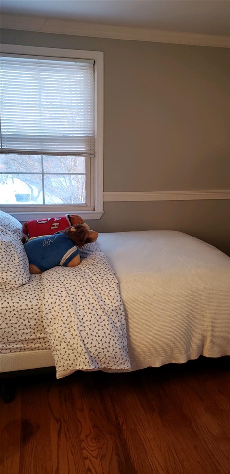 1728 Graefield Road Birmingham, MI 48009 - Photo 11 of 19 50066025-10.JPG