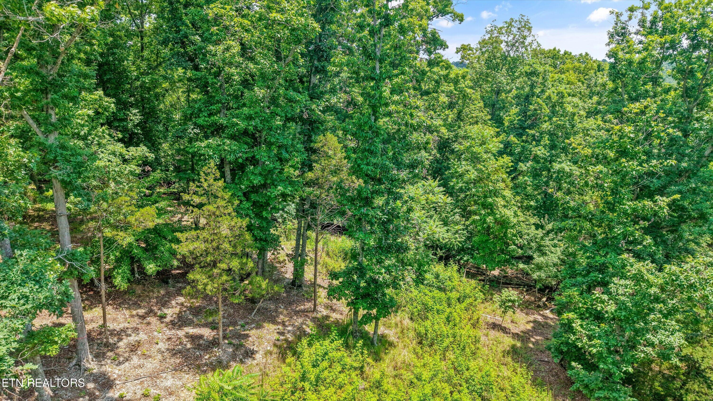 11-1499 Dogwood Valley Rd 12