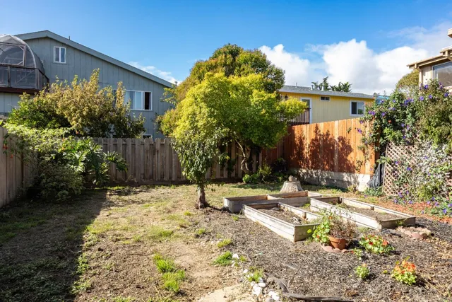 a backyard of a house with a tree