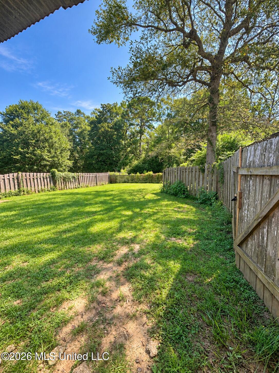 15420 Old River Road Vancleave, MS 39565 - Photo 17 of 18 Back yard behind house