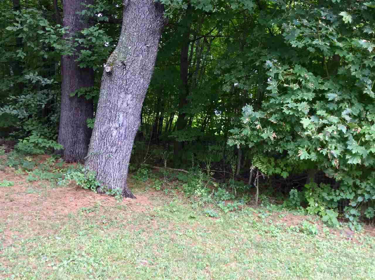 17 Maple Street Bridgton, ME 04009 - Photo 22 of 23 Gallery Image 22