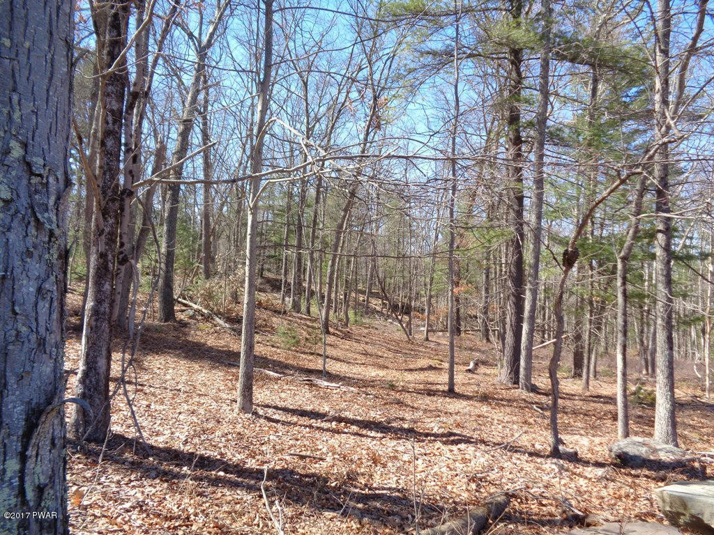 3 Panther Brook Road Shohola, PA 18458 - Photo 8 of 11