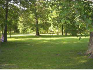 6538 Beecher Road Southwest Pataskala, OH 43062 - Photo 3 of 10