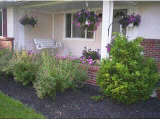 6538 Beecher Road Southwest Pataskala, OH 43062 - Photo 4 of 10