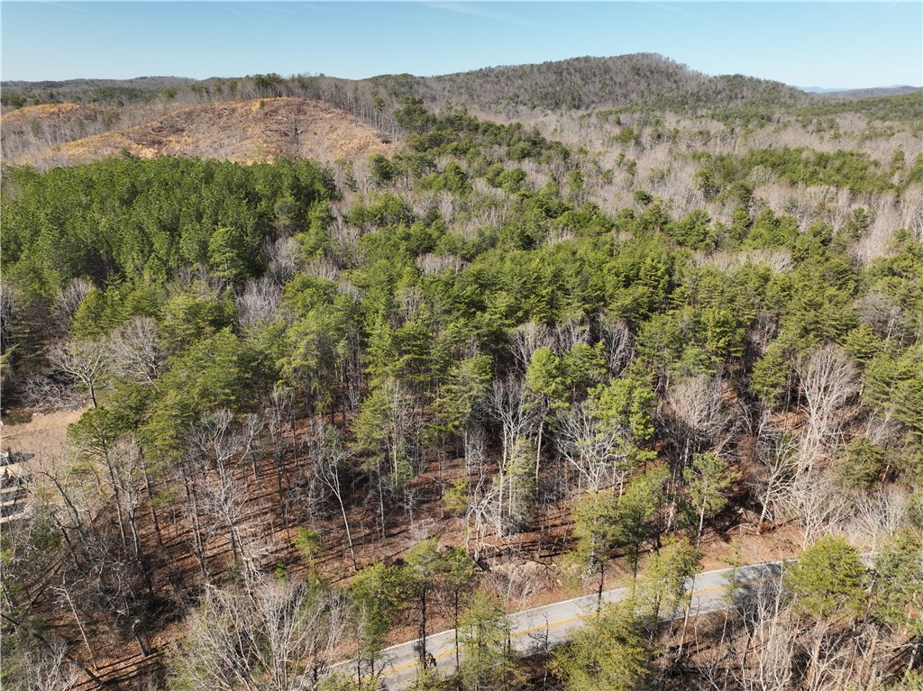 Tract B Old Unity Road Westminster, SC 29693 - Photo 4 of 12 This scenic landscape features expansive woodlands and a clear sky, offering a serene natural setting.