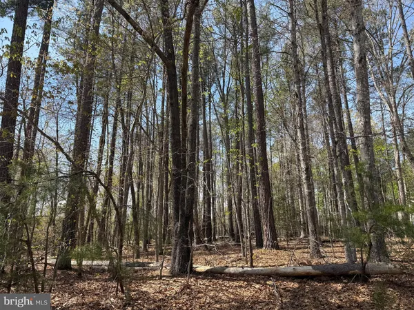 $120,000 | Anna Coves Boulevard, Mineral, VA 23117