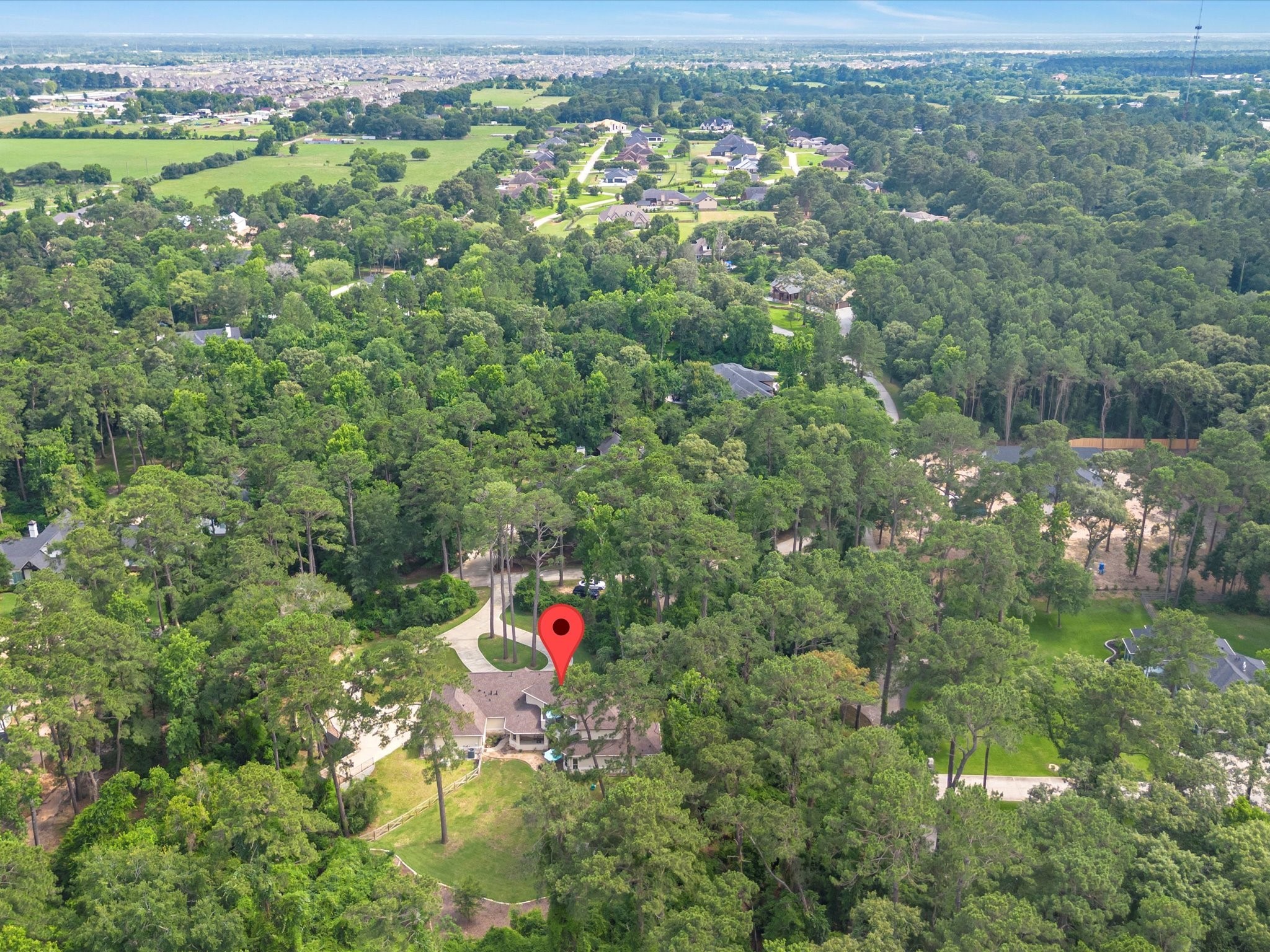 19332 Chateau Ridge Court Tomball, TX 77377 - Photo 48 of 50 a view of a houses with a lush green forest