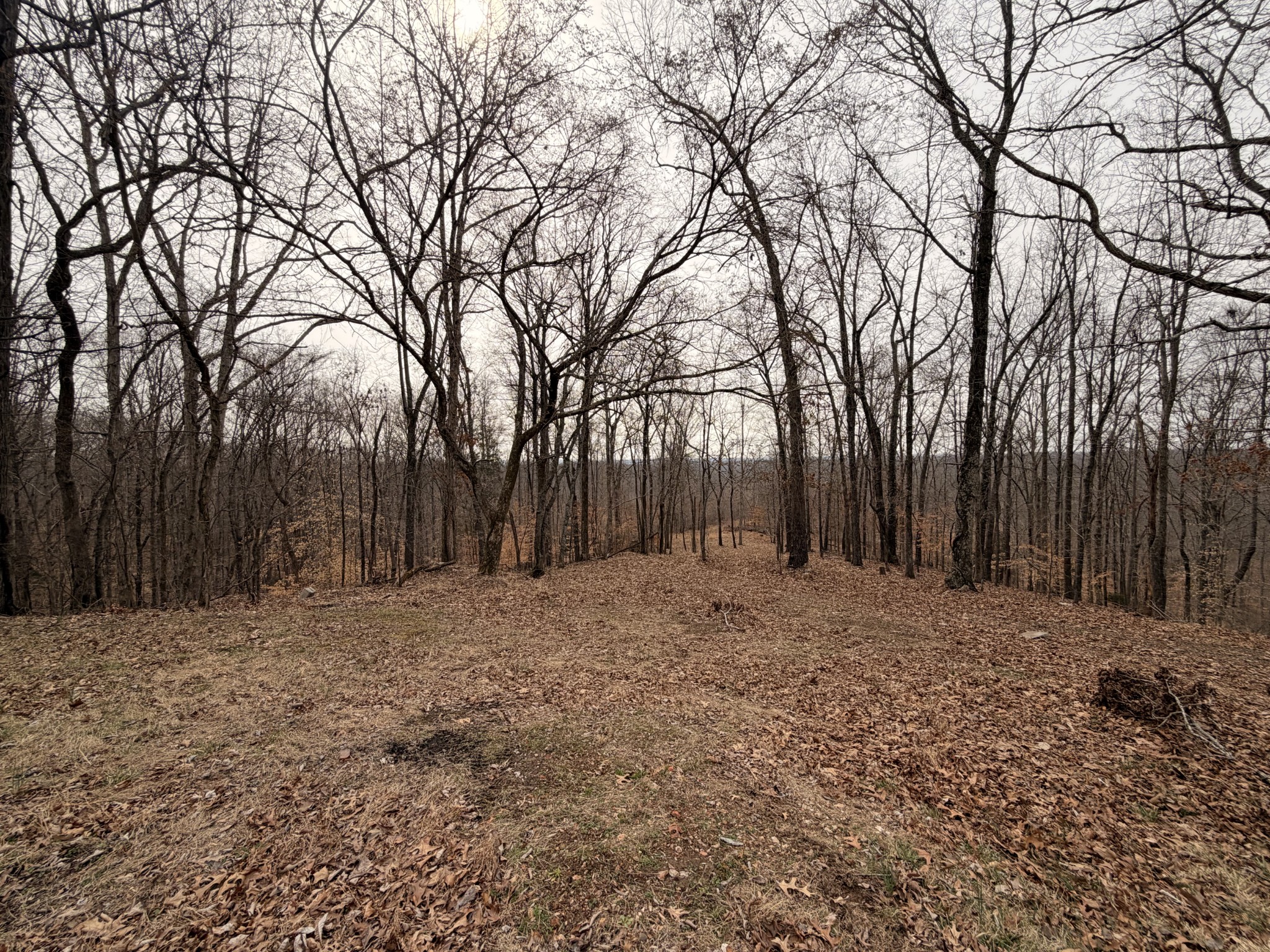 4474 Cumberland City Road Indian Mound, TN 37079 - Photo 19 of 28