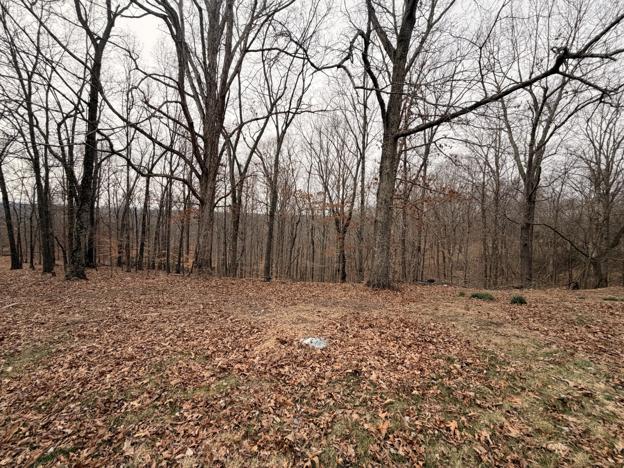 4474 Cumberland City Road Indian Mound, TN 37079 - Photo 20 of 28