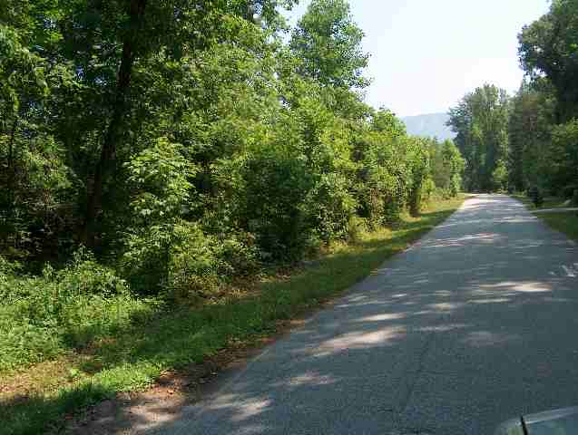 0 Ragsdale Road Cleveland, SC 29635 - Photo 1 of 8