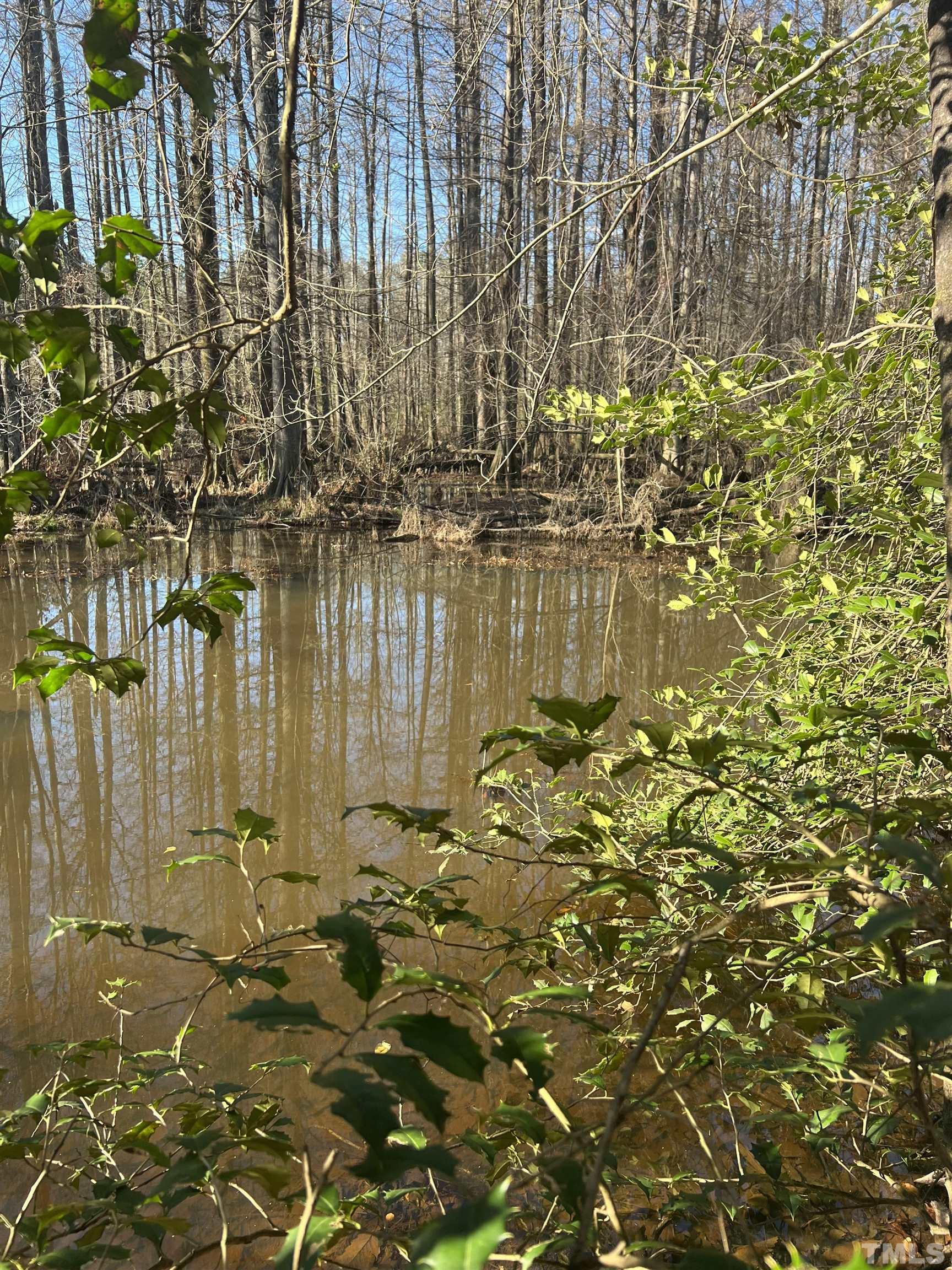 0 Bryan Road Newton Grove, NC 28366 - Photo 3 of 6 Gallery Image 3