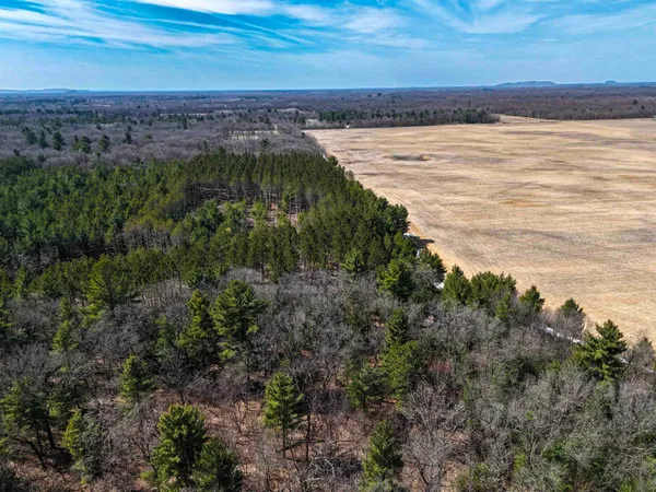 $149,000 | 19.81-acres 6th Avenue, Grand Marsh, WI 53936