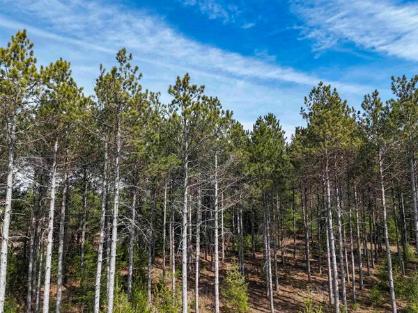 $149,000 | 19.81-acres 6th Avenue, Grand Marsh, WI 53936