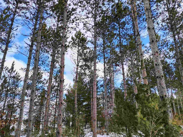 $149,000 | 19.81-acres 6th Avenue, Grand Marsh, WI 53936