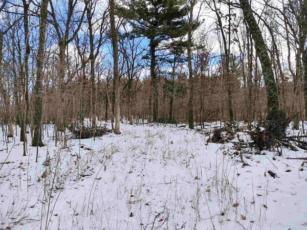 $149,000 | 19.81-acres 6th Avenue, Grand Marsh, WI 53936