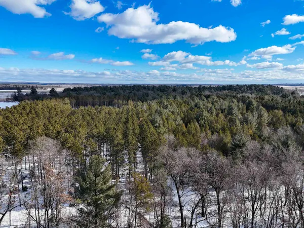 $149,000 | 19.81-acres 6th Avenue, Grand Marsh, WI 53936