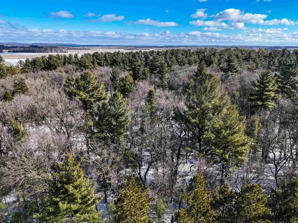 $149,000 | 19.81-acres 6th Avenue, Grand Marsh, WI 53936