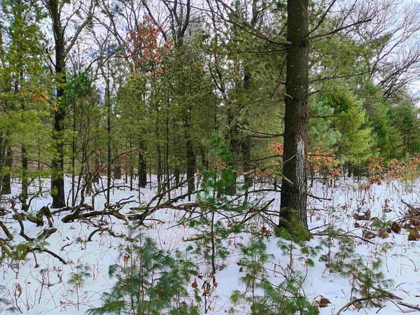 $149,000 | 19.81-acres 6th Avenue, Grand Marsh, WI 53936