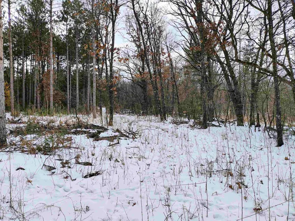 $149,000 | 19.81-acres 6th Avenue, Grand Marsh, WI 53936