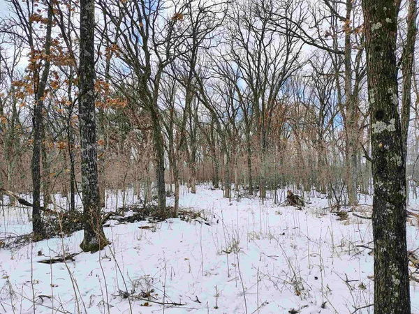 $149,000 | 19.81-acres 6th Avenue, Grand Marsh, WI 53936