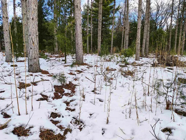 $149,000 | 19.81-acres 6th Avenue, Grand Marsh, WI 53936