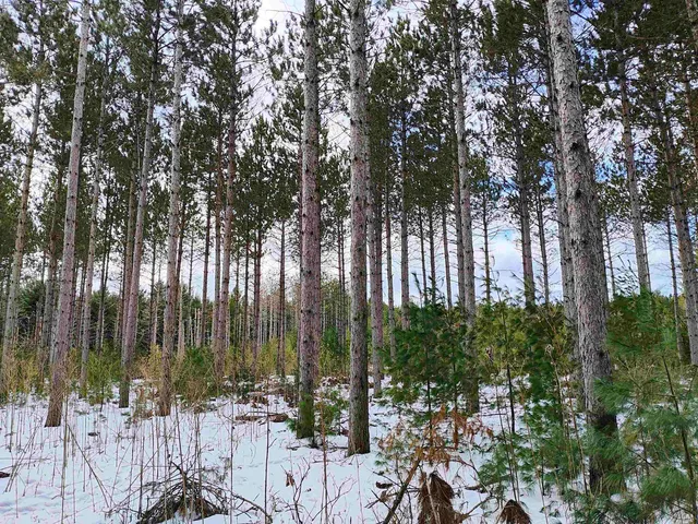 $159,900 | 19.81-acres 6th Avenue, Grand Marsh, WI 53936
