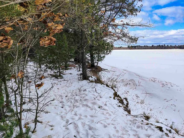 $149,000 | 19.81-acres 6th Avenue, Grand Marsh, WI 53936