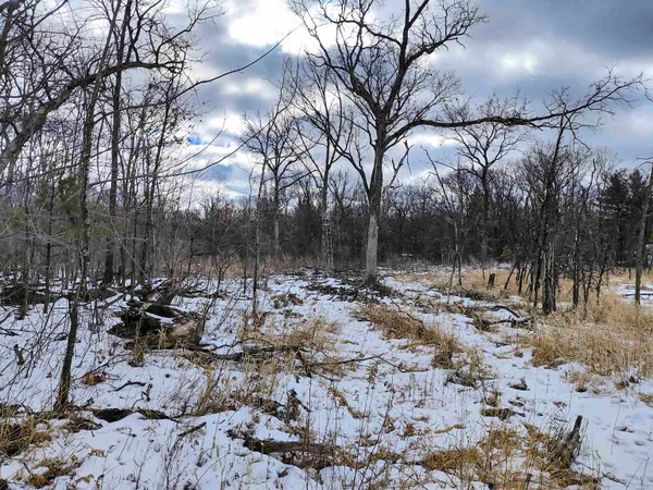 $149,000 | 19.81-acres 6th Avenue, Grand Marsh, WI 53936