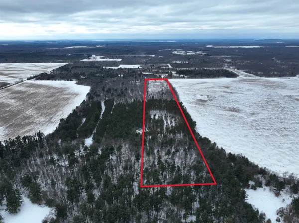 $149,000 | 19.81-acres 6th Avenue, Grand Marsh, WI 53936