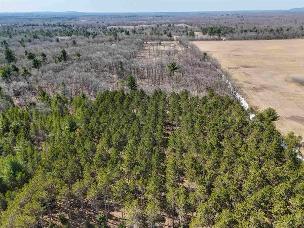 $149,000 | 19.81-acres 6th Avenue, Grand Marsh, WI 53936