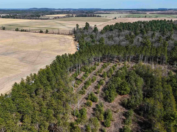$149,000 | 19.81-acres 6th Avenue, Grand Marsh, WI 53936