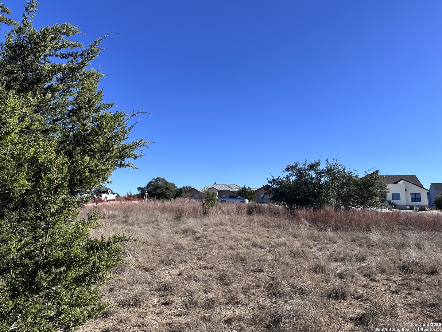 107 Solomon Adams Blanco, TX 78606 - Photo 5 of 11 a view of a field with a tree in the background