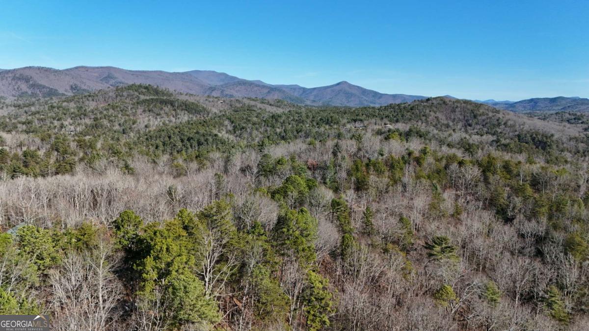 Lot 1 Gold Valley Road Sautee Nacoochee, GA 30571 - Photo 6 of 13