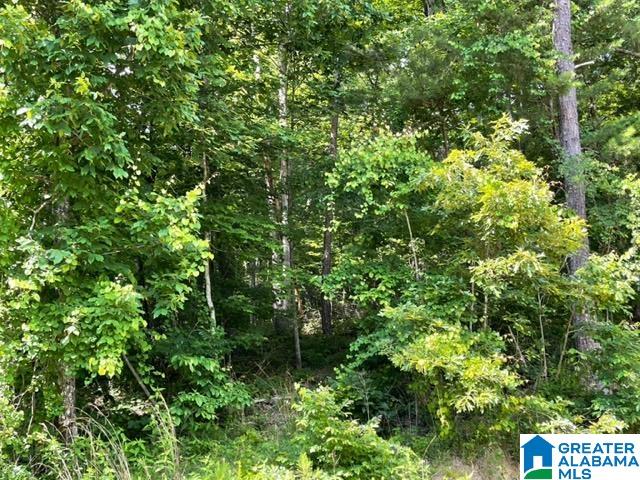 9320 Cedar Hill Road, Unit ONE Warrior, AL 35180 - Photo 7 of 7